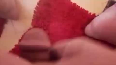 BookWriter online show from 20, 12, 2024