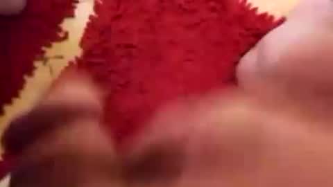 BookWriter online show from 31, 12, 2024