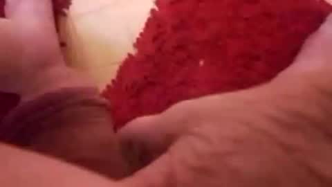 BookWriter online show from 8, 1, 2025