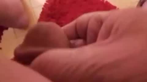 BookWriter online show from 11, 1, 2025