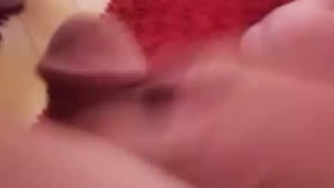 BookWriter online show from 14, 1, 2025