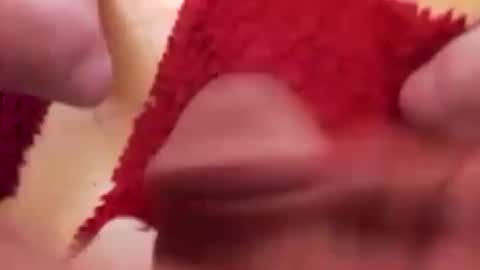 BookWriter online show from 16, 1, 2025