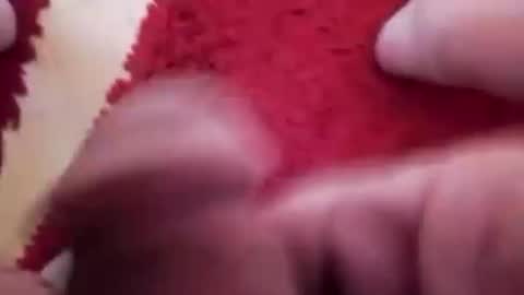 BookWriter online show from 20, 1, 2025