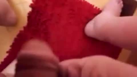 BookWriter online show from 22, 1, 2025