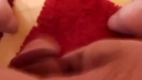 BookWriter online show from 25, 1, 2025