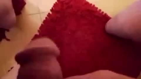 BookWriter online show from 1, 2, 2025