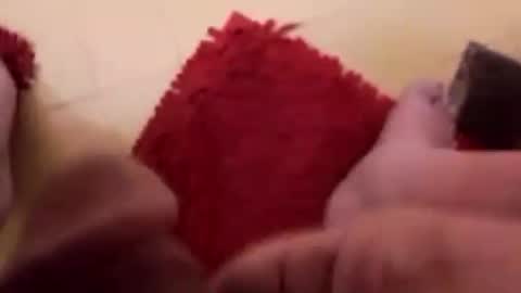 BookWriter online show from 12, 2, 2025