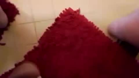 BookWriter online show from 15, 2, 2025