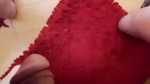 BookWriter online show from 23, 2, 2025