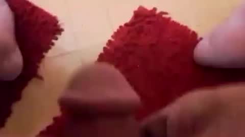 BookWriter online show from 24, 2, 2025