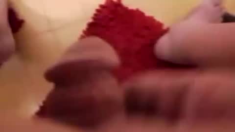 BookWriter online show from 9, 3, 2025