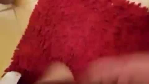 BookWriter online show from 14, 9, 2025