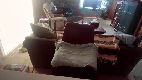 Big BallzBi online show from 3, 4, 2026