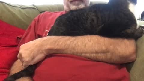 Snapshot of newtman68 chatting on 16, 12, 2025 newtman68 online show from 16, 12, 2025