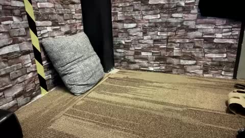 newzex66 online show from 23, 1, 2025