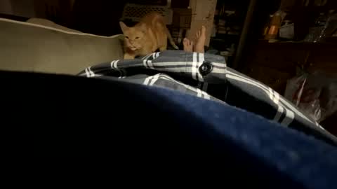 Snapshot of ngianop chatting on 23, 10, 2025 ngianop online show from 23, 10, 2025