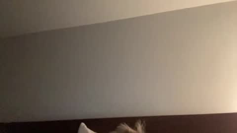 Nice Gentle Naughty online show from 13, 12, 2024