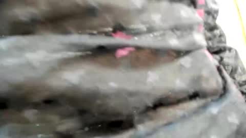 Snapshot of nicesweetwap chatting on 26, 10, 2025 Bianca online show from 26, 10, 2025