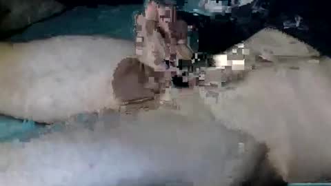 Snapshot of nickanonymous1034 chatting on 12, 10, 2025 Nick online show from 12, 10, 2025