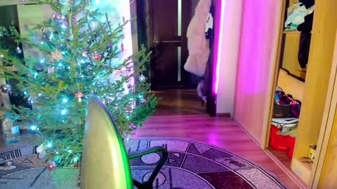 Nicky Weekends online show from 14, 1, 2025