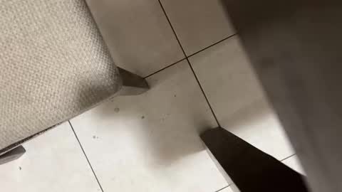 Snapshot of nicocar83pty chatting on 2, 3, 2026 Carlos Nico online show from 2, 3, 2026