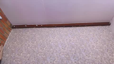 Nicol online show from 11, 1, 2025