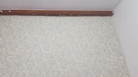 Nicol online show from 8, 3, 2025