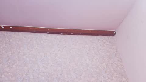 Nicol online show from 10, 3, 2025