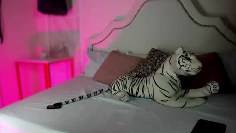 nicole online show from 5, 2, 2026