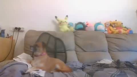 Brian and Logan Brogan online show from 16, 10, 2025