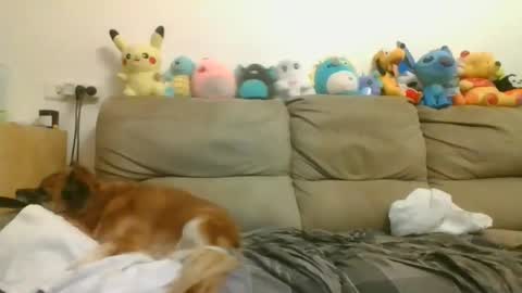 Brian and Logan Brogan online show from 17, 4, 2026