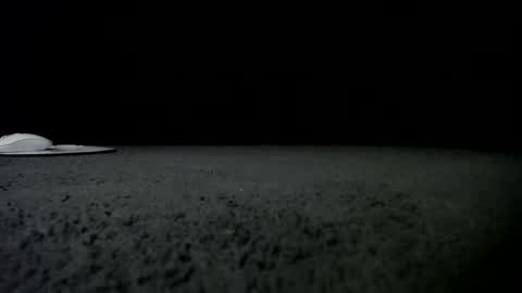 Snapshot of nikkkibabyyyy chatting on 24, 1, 2025 Niquita Sparkles online show from 24, 1, 2025