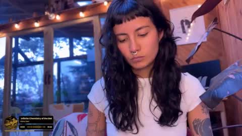 Nina.  online show from 13, 2, 2026