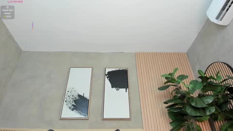 NINA online show from 25, 2, 2025