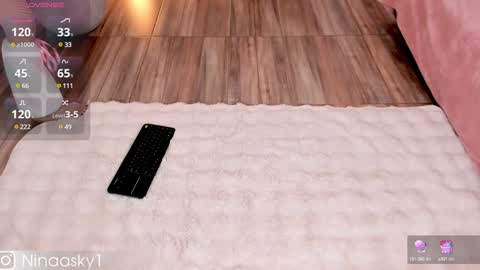 Snapshot of ninaa_sky chatting on 11, 12, 2024    online show from 11, 12, 2024