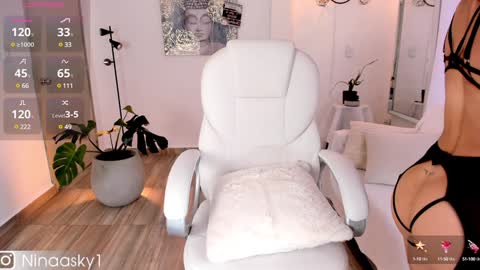 Snapshot of ninaa_sky chatting on 12, 12, 2024    online show from 12, 12, 2024