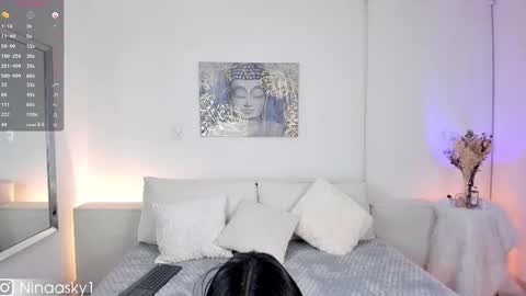Snapshot of ninaa_sky chatting on 11, 2, 2025    online show from 11, 2, 2025