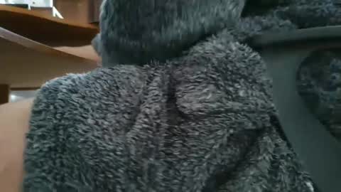 nineinchhard online show from 12, 3, 2025