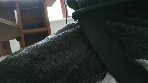 nineinchhard online show from 30, 10, 2025