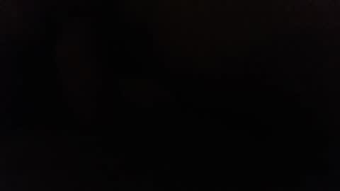 Ninjadance online show from 2, 12, 2024