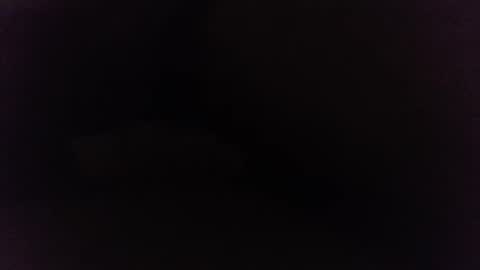 Ninjadance online show from 27, 12, 2024