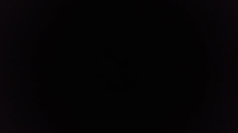 Ninjadance online show from 29, 12, 2024