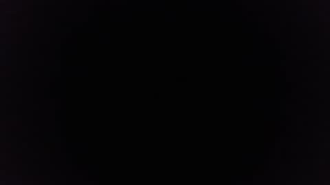 Ninjadance online show from 4, 2, 2025