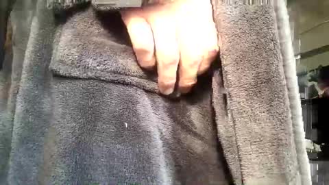 Snapshot of no123love chatting on 10, 1, 2026 no123love online show from 10, 1, 2026