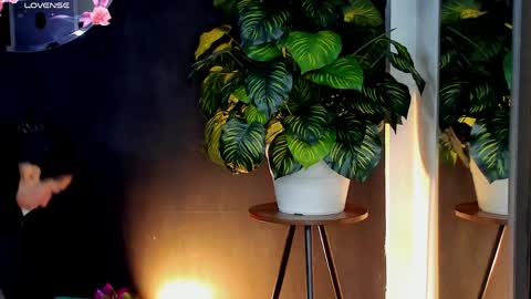 Noah  online show from 10, 4, 2026