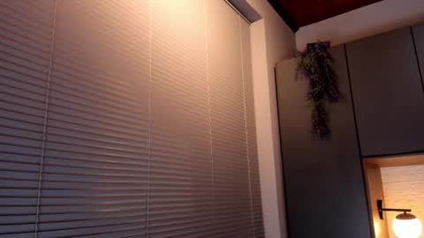 noah_dupont_ online show from 8, 11, 2025