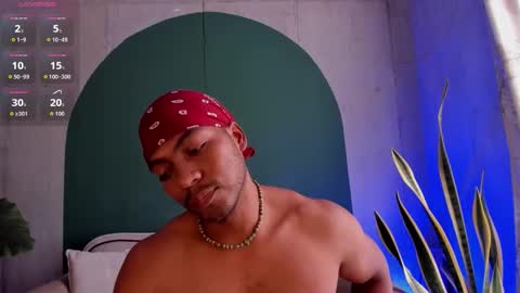 Noah online show from 28, 11, 2025