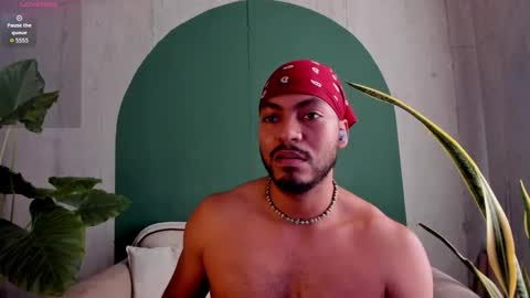 Noah online show from 15, 12, 2025