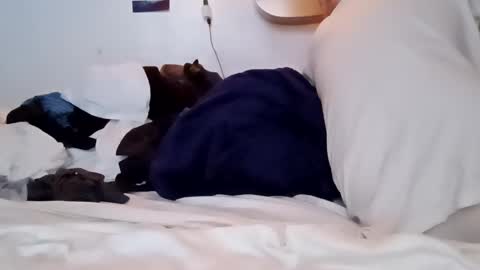 Snapshot of noah_wesley chatting on 18, 1, 2025 Noah Wesley online show from 18, 1, 2025