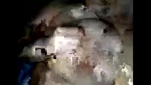 Snapshot of normajeen77777 chatting on 14, 4, 2026 normajeen77777 online show from 14, 4, 2026